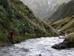 travelling stream side