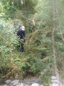 Descending to Harihari