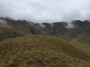 wet tussock and stormy skies