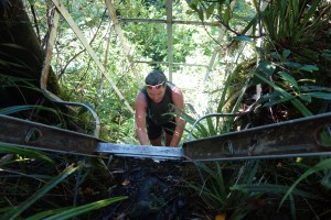 Waiaua Gorge Hut ladder