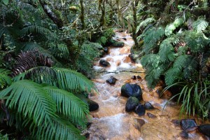 Silica coated stream