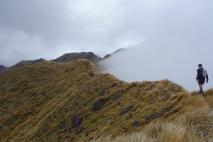 Tararua mist curtain
