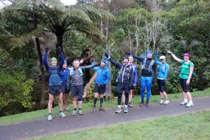 Tortoises at the start line