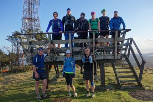 Tortoises on Mt Kaukau