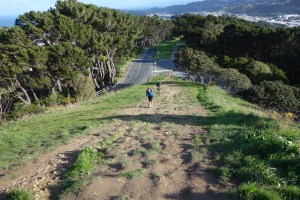 Penultimate hill Aug run thru