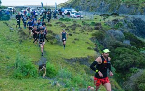 Undulator start, Tim, Scout then Lou