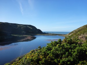 View to the coast from the Park