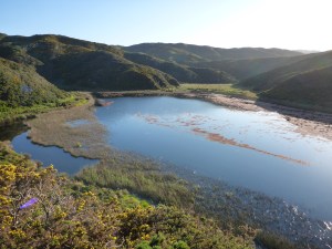 Lake Kohangapiripiri