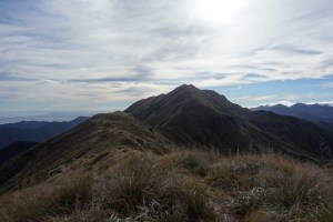 Tararua tops